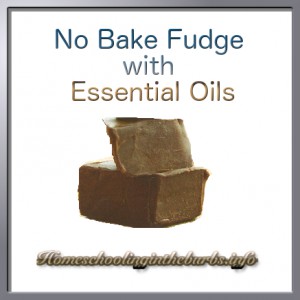 No Bake Fudge With Essential Oils