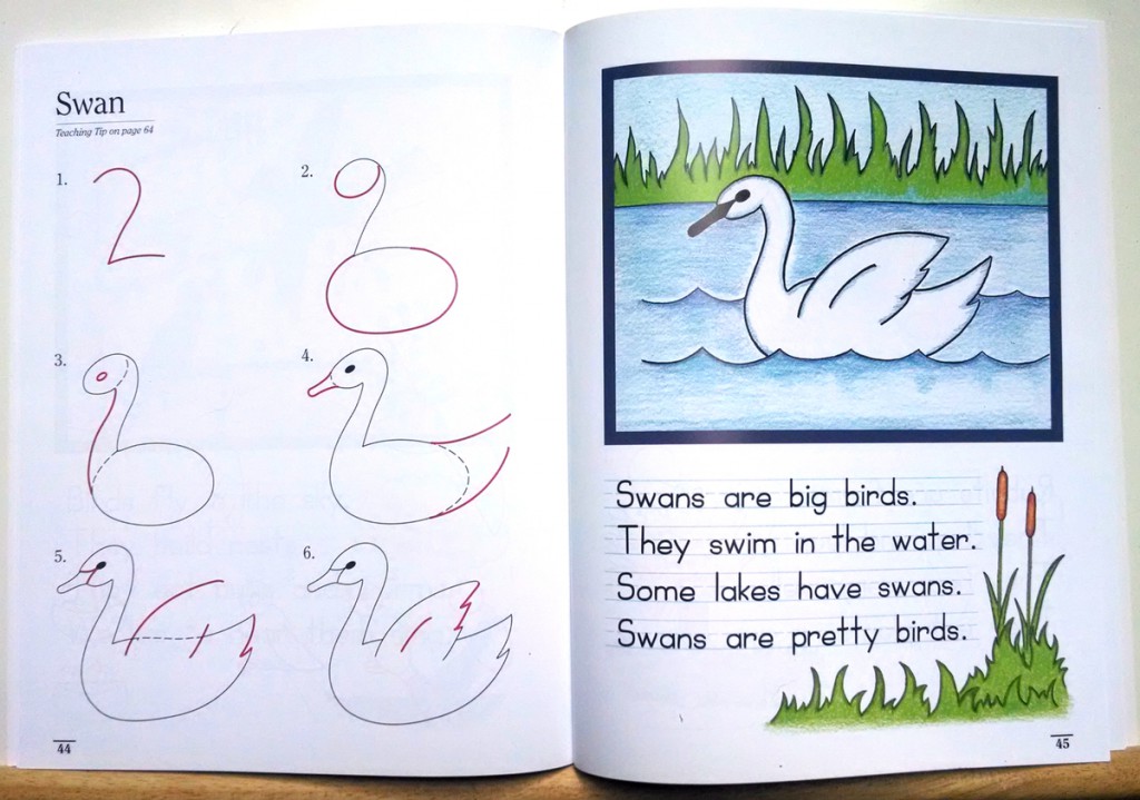 Draw WRite Now Swan Lesson Book 1